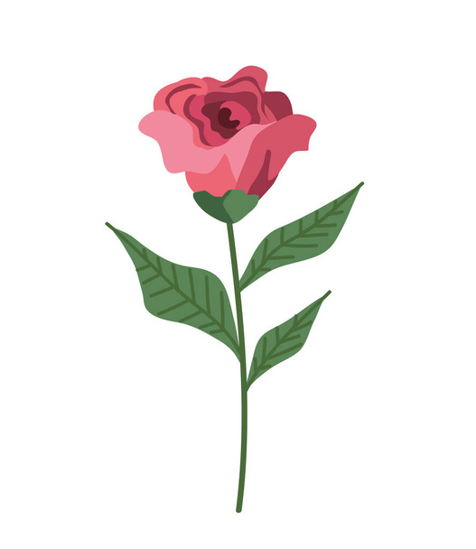 rosa roja flor jardín naturaleza icono - Vector, imagen