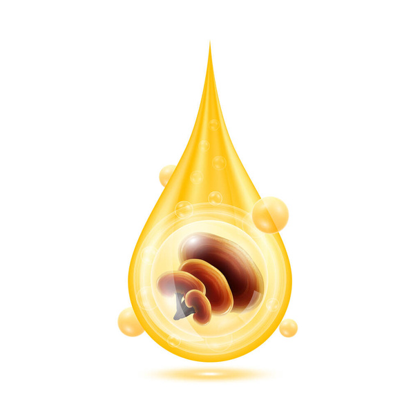 Reishi houby ve zlaté vodě kapky a Vitamíny kolagen sérové pomeranče zářící s kyslíkovými bublinkami. Izolované na bílém pozadí. Prémiový doplněk stravy pro zdraví. 3D realistický vektor Eps10. - Vektor, obrázek