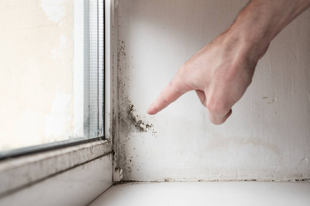 Homem aponta o dedo para fungo no canto da janela Fungo perigoso que precisa ser destruído. O problema da ventilação. - Foto, Imagem