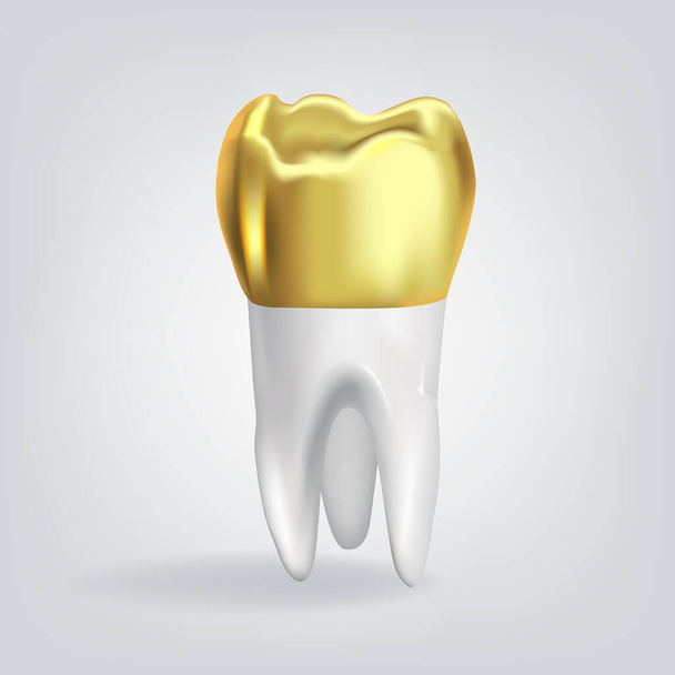 Realistic tooth with golden crown. Vector illustration - Vektör, Görsel