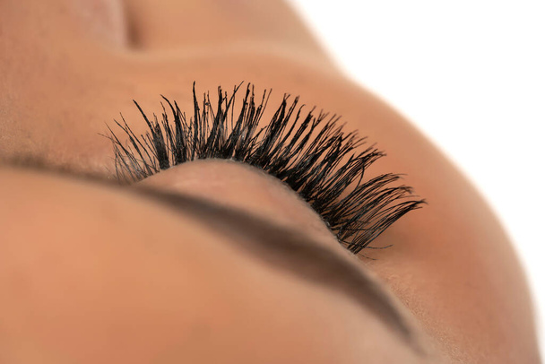 Closed female eye with curl long false eyelashes on a white studio background - Photo, Image
