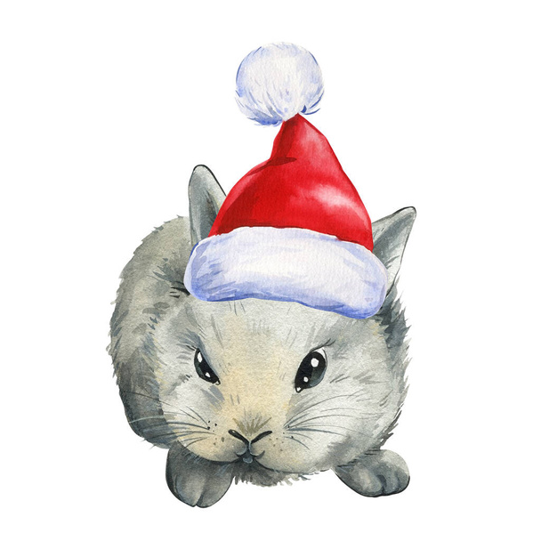 New Years bunny on a white background, watercolor painting, hand drawing. High quality illustration - Photo, Image