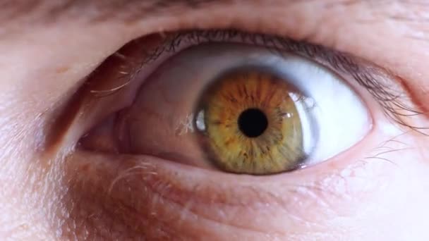 Sock, surprise and wow eye with zoom with vision, eyesight and looking with portrait, crazy news and alert reaction. Person at horror with anxiety, fear and surprise in wide iris or eyeball movement. - Filmmaterial, Video