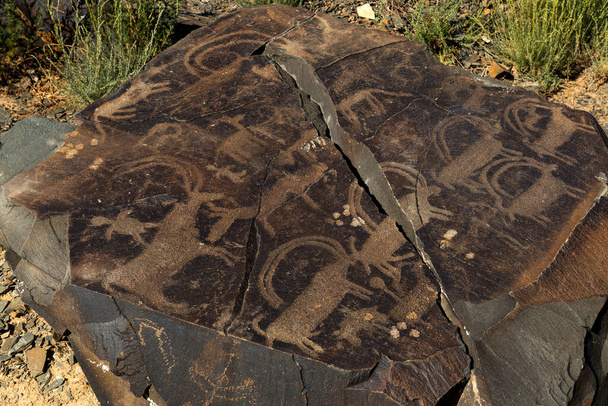 Полювання на землю на стародавніх петрогліфах тамблі в південно - східній частині Казахстану. - Фото, зображення