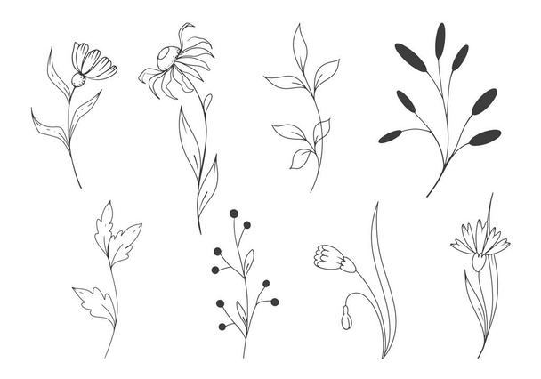 decorative flower set in vector and illustration. Vector illustration - Вектор, зображення