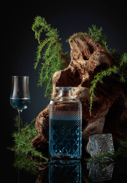 Blue gin on a black background. Juniper branches and old driftwood are in the background. - 写真・画像