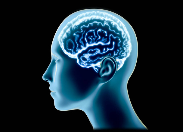 Neurología, filosofía: conexiones, el desarrollo del pensamiento y la reflexión, las infinitas posibilidades del cerebro y la mente. Anatomía humana. Realidad digital, conciencia artificial. renderizado 3d - Foto, Imagen