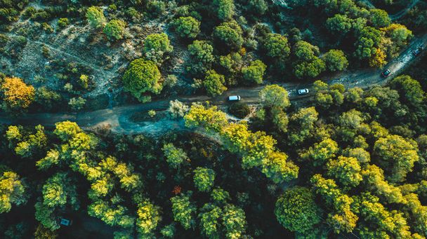 Z góry widok drona pojazdów jadących wzdłuż wiejskiej drogi pośród bujnych zielonych drzew w letni dzień w lesie - Zdjęcie, obraz