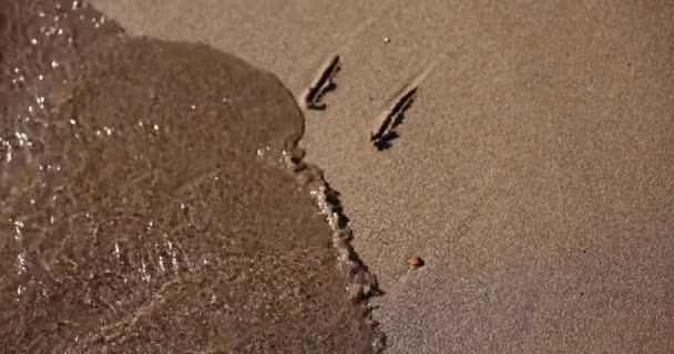 Emoticono triste dibujado en la arena se lava con la ola. Concepto de depresión y mal humor - Imágenes, Vídeo