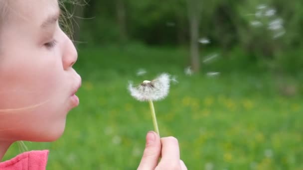 Teen Girl child holds and blows on a dandelion. Happy childhood concept. Playing outdoors. Slow motion summer video - Footage, Video