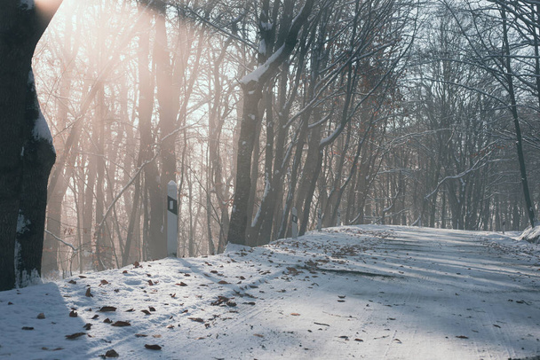 Verschneite Straße im Winter führt durch nebligen Wald - Foto, Bild
