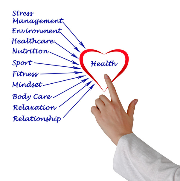 Diagram of health - Photo, Image