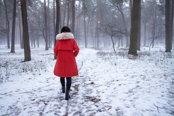Eine junge Frau in Rot geht langsam auf dem schneebedeckten Bürgersteig durch eine Baumallee in einem weißen, schneebedeckten Wintertag im Park. Nebelige Luft. Zeit allein in der Natur verbringen. Friedliche Atmosphäre. Rückseite. - Foto, Bild