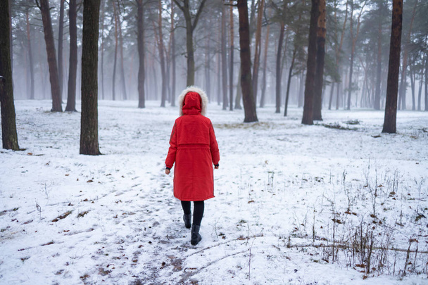 Young woman in red slowly walking on snow covered sidewalk through alley of trees in white snowy winter day at park. Foggy air. Spending time alone in nature. Peaceful atmosphere. Back view. - Photo, Image