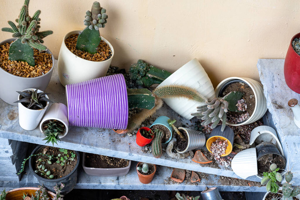 Closeup of a broken upside down flower pots with spilled out soil on the cracked plants shelf - 写真・画像