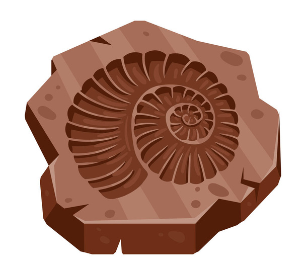 Sarjakuva arkeologia ammoniitti fossiili, antiikin simpukka. Paleontologia Ocean Eläimistön tulostaa, arkeologia kaivaminen ammoniitti artefakti tasainen vektori kuvitus valkoisella taustalla - Vektori, kuva