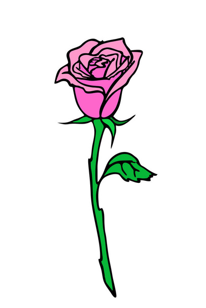rose branch drawing with pink flower and leaves, isolated element, design - Vector, Image