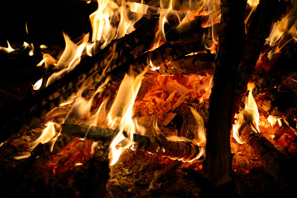 Burning wood in the fire - Foto, immagini