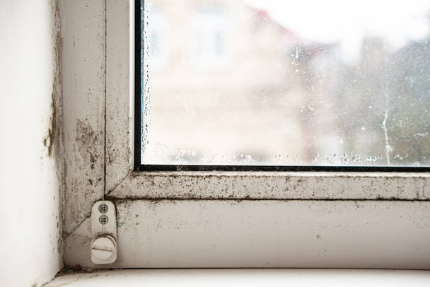 Huis raam met vocht en condensatie. - Foto, afbeelding
