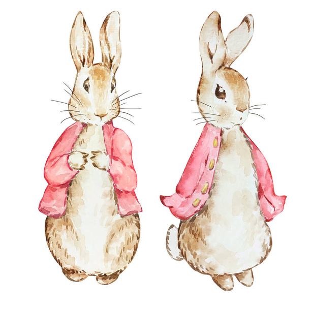 Watercolor cute Peter Rabbits in red jacket for baby design - Photo, Image