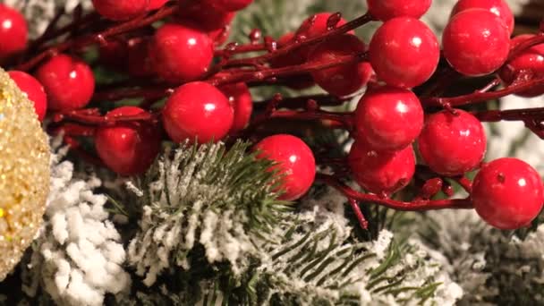 Primer plano, la decoración de Año Nuevo bayas rojas en el árbol de Navidad. El concepto de la fiesta del nuevo año 2023 y la Navidad. Vídeo 4k - Imágenes, Vídeo