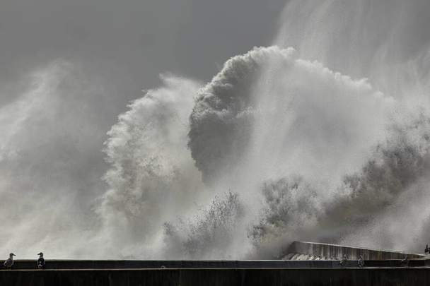 Великі штормові хвилі прориваються через пірс з півночі Португалії. - Фото, зображення