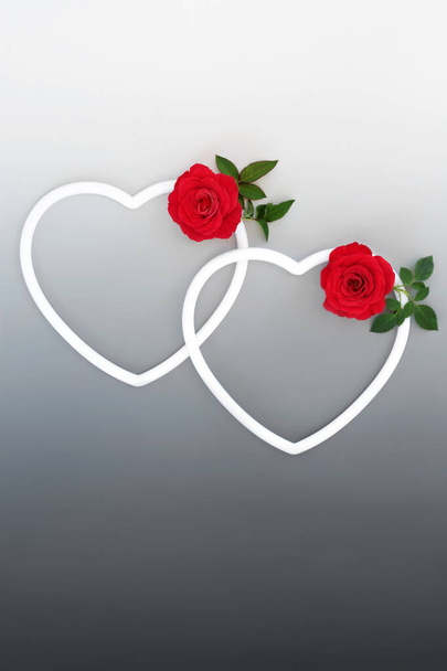 Dia dos Namorados com duas formas de coração branco e flores vermelhas rosa no fundo cinza gradiente. Conceito de símbolo de amor bonito para cartão de Valentim romântico.   - Foto, Imagem