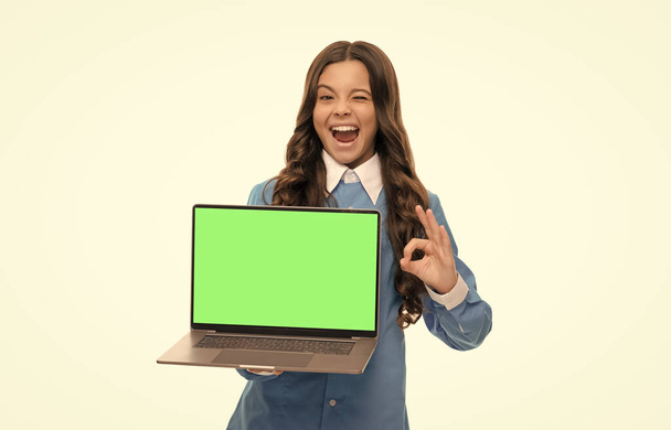 piscando criança cabelo encaracolado longo mostrando apresentação na tela do laptop isolado no branco, ok. - Foto, Imagem