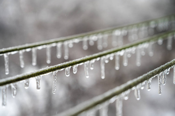Stromkabel, Drähte sind nach dem Phänomen des gefrierenden Regens mit Eis bedeckt. Selektiver Fokus - Foto, Bild