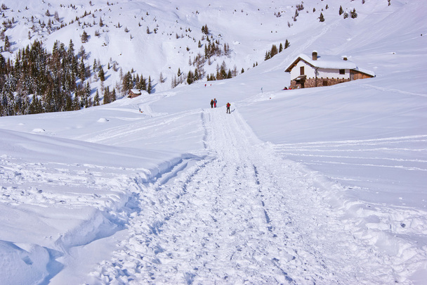 Прогулянка снігом
 - Фото, зображення