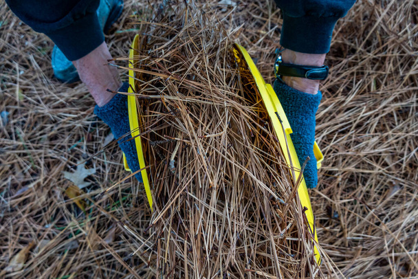 Un giovane uomo usa pagaie gialle per sollevare l'erba secca in una carriola.. - Foto, immagini