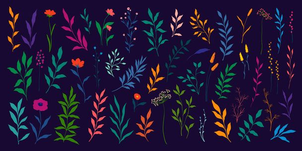 Creative minimalistinen Abstrakti taide luonnonvaraisia kukkia, lehtiä, haara, Käsin Piirretty doodle Scribble kukka kasveja. Tiivistelmä. luonnonvaraiset kukat eristetty valkoinen - Vektori, kuva