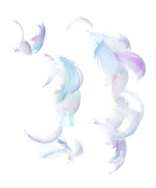 Beaucoup de plumes pastel tombent dans l'air sur fond blanc isolé. Puffy plumes douces gonflées comme la pureté lisse comme rêve colombe flottante dans le ciel. Angle volant du ciel, mouvement photo - Photo, image