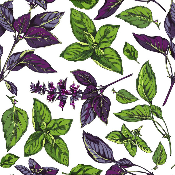 Basil seamless repeatable pattern sketch style vector illustration on white background. Endless repeatable texture design with hand drawn basil decorative elements. - Wektor, obraz