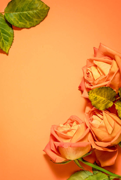 eine leere Nachricht Notiz mit frischen Blumen Rosen isoliert über orangefarbenen Pfirsich Hintergrund. Hochwertiges Foto - Foto, Bild