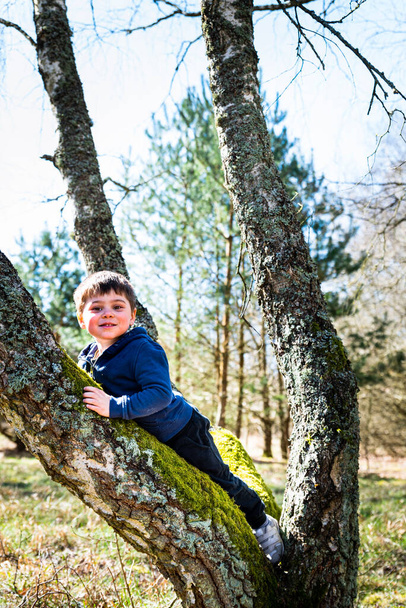 Usmívající se dítě ležící na větvi v přirozeném prostředí. Dítě předstírající, že šplhá na strom leží mezi dvěma větvemi s velkým úsměvem. Dítě s veselým výrazem vyjadřuje relaxaci a lehkomyslnost - Fotografie, Obrázek
