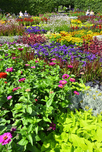 Piękny i kolorowy roczny ogród kwiatowy, Grugapark Niemcy. Wysokiej jakości zdjęcie - Zdjęcie, obraz