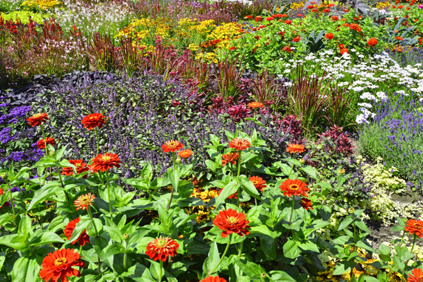Krásná a barevná roční květinová zahrada, Grugapark Německo. Kvalitní fotografie - Fotografie, Obrázek