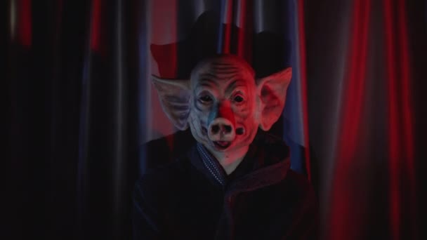 赤いカーテンで部屋にキラー豚のマスクを持つサイキック不気味な男。高品質4k映像 - 映像、動画