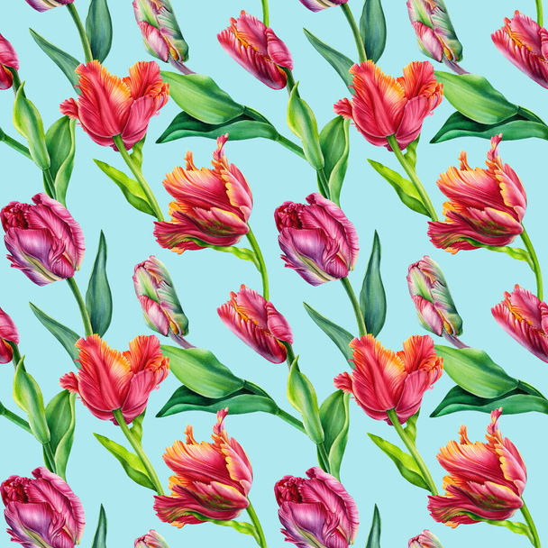 Patrón sin costura floral. Acuarela tulipán, flores de primavera, flora hermoso fondo. Tarjetas de invitación. ilustración de alta calidad - Foto, imagen