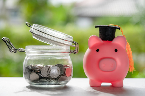Save money coins in grass jar with piggy bank and graduation cap, Business finance education concept. - Photo, Image