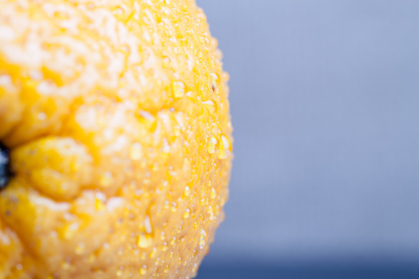Orange with water drops on the skin close-up on a light backgrou - Foto, Imagen
