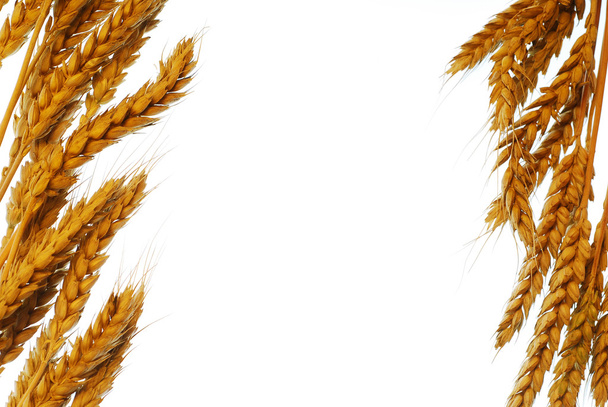 Wheat frame - Photo, Image