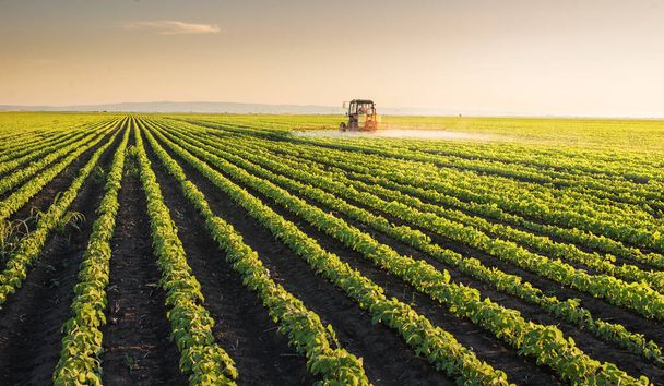 Tractor rociando pesticidas en campo de soja con pulverizador en primavera
 - Foto, imagen
