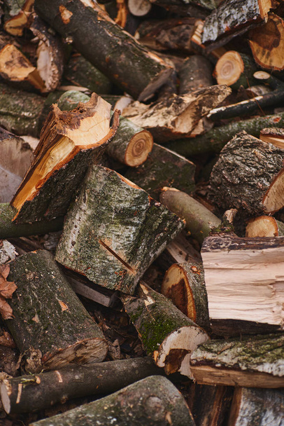                                du bois de chauffage coupé. Une pile de bûches. Les arbres ont été coupés et coupés en bois de chauffage pour être utilisés comme combustible dans les foyers et les fours. - Photo, image