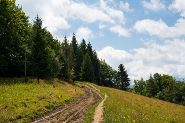 Dirt road in the Ukrainian Carpathians - Photo, Image