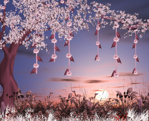 Série de natureza encantada - jardim de flor de cereja
 - Foto, Imagem