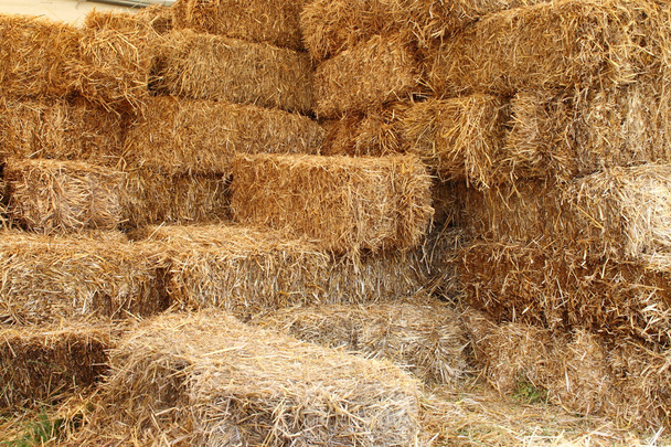 Lado interno de un granero
 - Foto, imagen