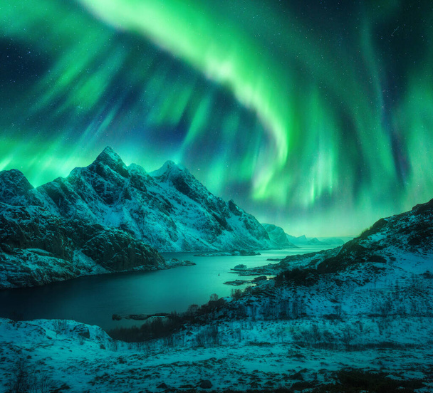 Aurora boreal sobre las montañas nevadas, costa del mar por la noche en Lofoten, Noruega. Aurora boreal sobre rocas cubiertas de nieve. Paisaje invernal con luces polares y fiordo. Cielo estrellado con aurora brillante - Foto, Imagen