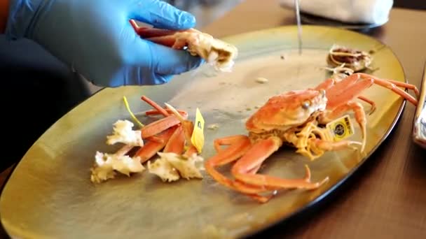 Fukui,Japan - December 8, 2022: Closeup of Seikogani or female Echizen crab or female snow crab on a dish. The yellow tag on the crab leg shows that the crab landed in Fukui prefecture, Japan.  - Footage, Video